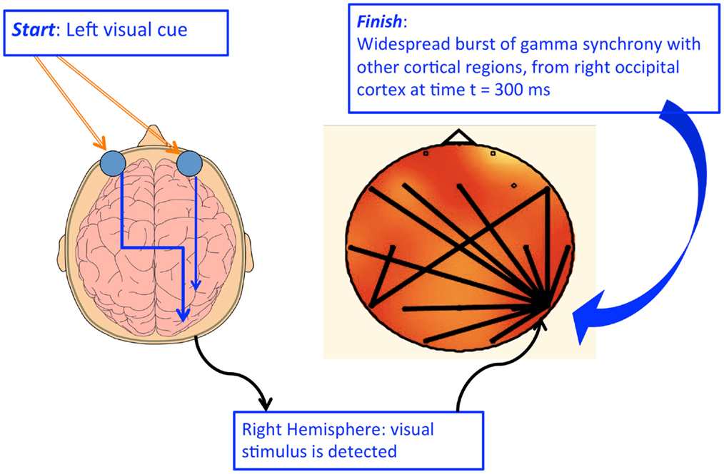 Conscious vision